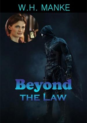 Cover of the book Beyond the Law by Cheryl S. Kime