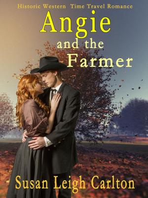 Cover of the book Angie and the Farmer by Romy Sommer