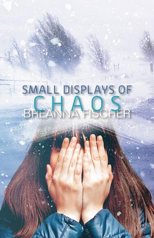 Cover of the book Small Displays of Chaos by Connie Gault