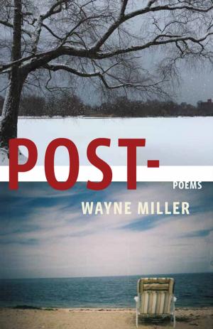 Cover of the book Post- by Deni Ellis Bechard