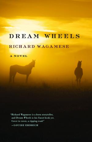 Book cover of Dream Wheels
