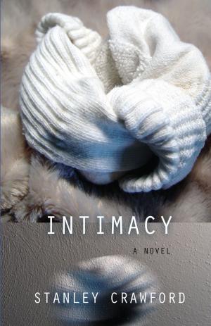 Cover of the book Intimacy by Matthew Roberson