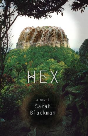 Cover of the book Hex by Susan E Meisenhelder
