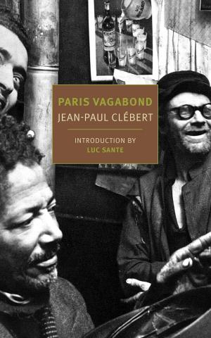 Cover of the book Paris Vagabond by Szilárd Borbély