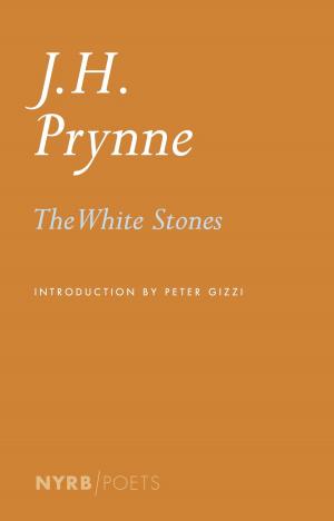 Cover of the book The White Stones by Nescio