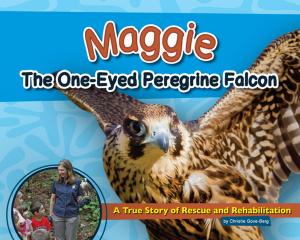 Cover of the book Maggie the One-Eyed Peregrine Falcon by Tom Chapin