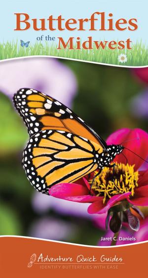 Cover of the book Butterflies of the Midwest by Teresa Marrone, Walt Sturgeon