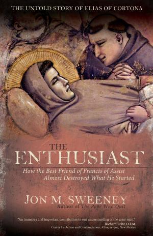 Cover of the book The Enthusiast by Christine Valters Paintner