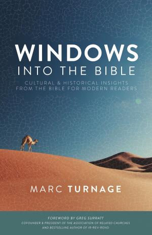 Book cover of Windows into the Bible