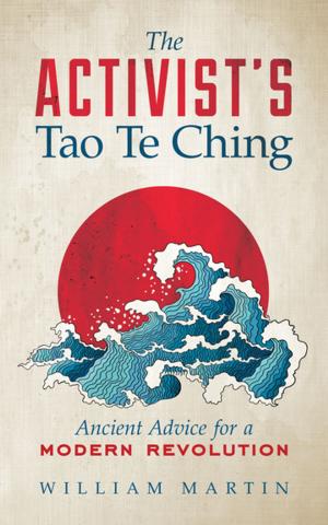 Cover of The Activist's Tao Te Ching