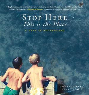 Book cover of Stop Here, This is the Place