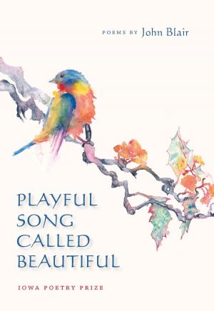 bigCover of the book Playful Song Called Beautiful by 