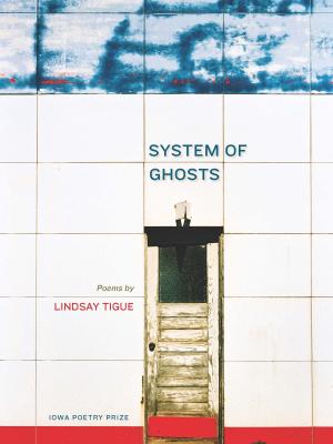 Cover of the book System of Ghosts by Eric Bennett