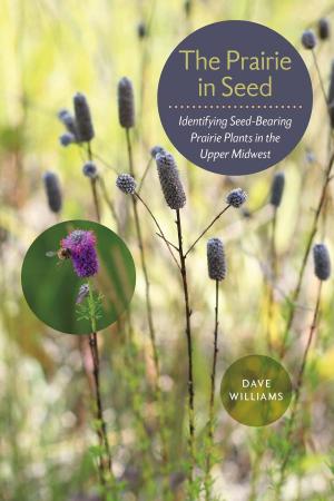 Cover of the book The Prairie in Seed by Lynn Waltz