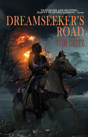 Cover of the book Dreamseeker's Road by Edith Layton