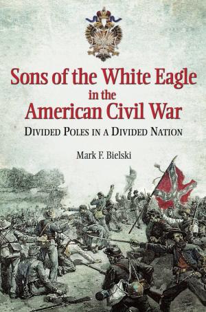 Cover of the book Sons of the White Eagle in the American Civil War by Michael Collins, Martin King