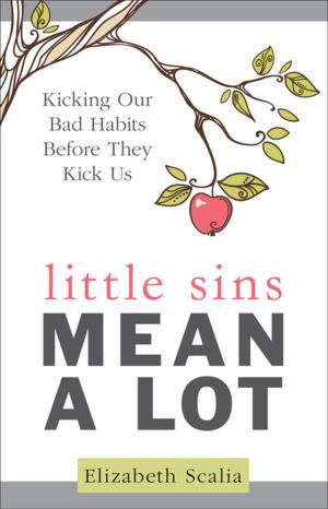 Cover of the book Little Sins Mean a Lot by Patrick Madrid
