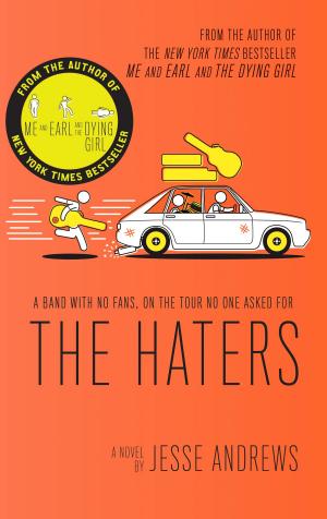 Book cover of The Haters