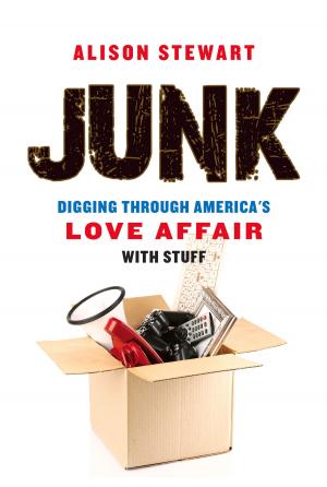 Cover of the book Junk by Nancy F. Castaldo