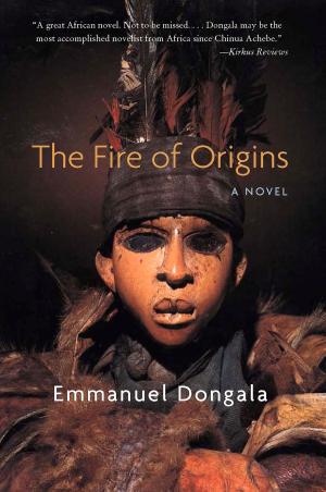Cover of the book Fire of Origins by Leo Bruce