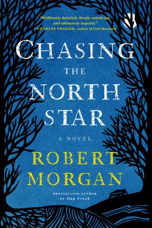 Book cover of Chasing the North Star