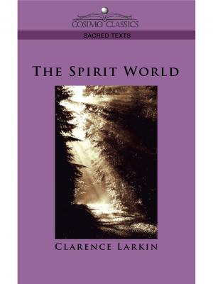 Cover of the book The Spirit World by Peter Mt. Shasta