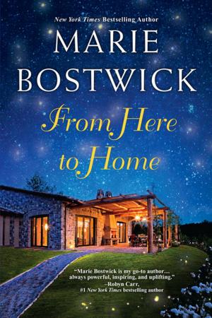 Cover of the book From Here To Home by Raine English