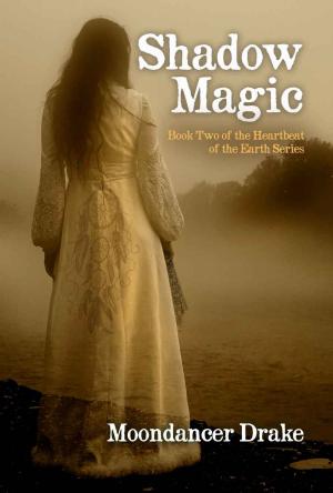 Cover of the book Shadow Magic by Danielle Monsch