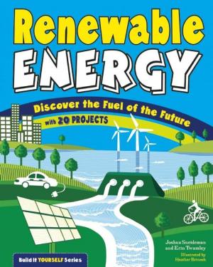 Cover of the book Renewable Energy by Anita Yasuda