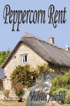 Cover of the book Peppercorn Rent by Lee-Ann Graff Vinson