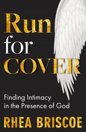 Cover of the book Run for Cover by Lydia Meredith
