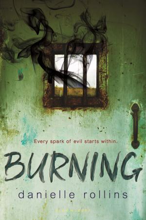 Cover of the book Burning by AJ Harmon