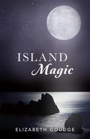 Book cover of Island Magic