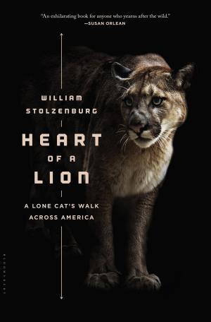 Cover of the book Heart of a Lion by Jen Benson, Sim Benson