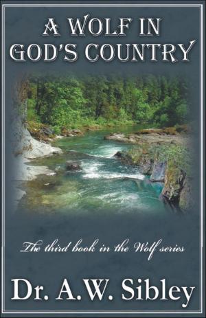 Cover of the book A Wolf in God’s Country "The third book in the Wolf series" by J. C. Griffith