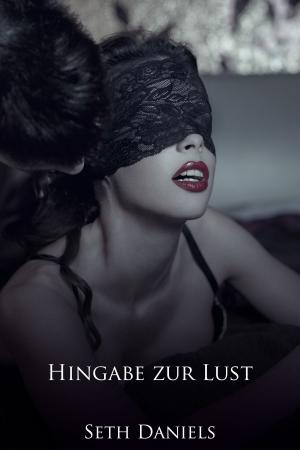 Book cover of Hingabe zur Lust