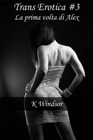 Cover of the book Trans Erotica #3 by K Windsor