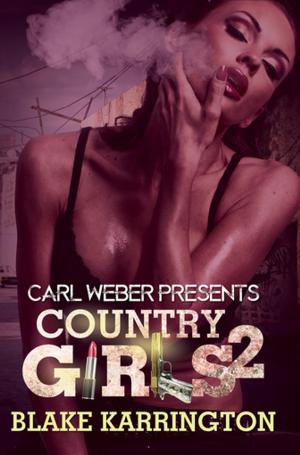bigCover of the book Country Girls 2 by 