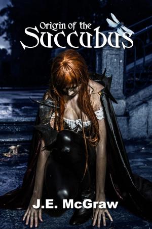 bigCover of the book Origin of the Succubus by 