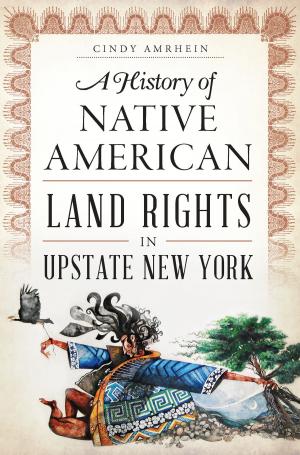 Cover of the book A History of Native American Land Rights in Upstate New York by Carolyn E. Potser, John T. Pilecki, Nancy Walp Bosworth