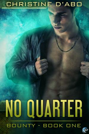 Cover of the book No Quarter by Ally Blue