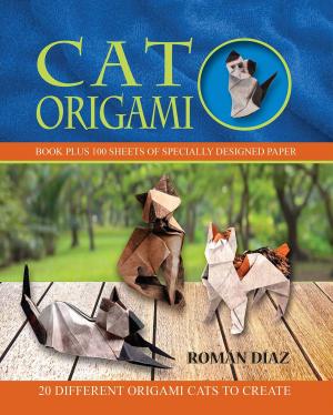 Cover of the book Cat Origami by Karen Inge, Luisa Adam