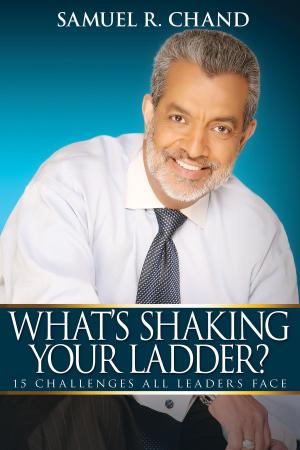 bigCover of the book What's Shaking Your Ladder? by 