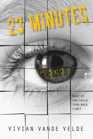 bigCover of the book 23 Minutes by 