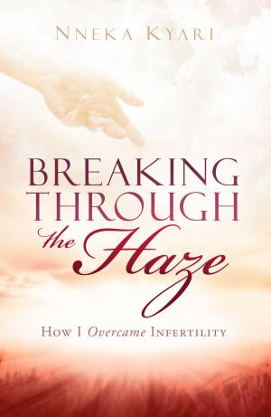 Cover of the book Breaking Through the Haze by John Eckhardt