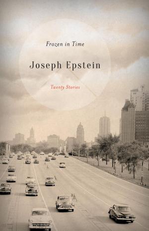 Cover of the book Frozen in Time by Paul M. Levitt