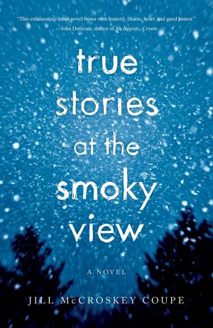 Cover of the book True Stories at the Smoky View by Anjali Mitter Duva