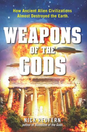 Cover of the book Weapons of the Gods by Christopher Dunn