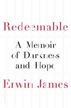 Cover of the book Redeemable by David J. Silverman