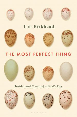bigCover of the book The Most Perfect Thing by 